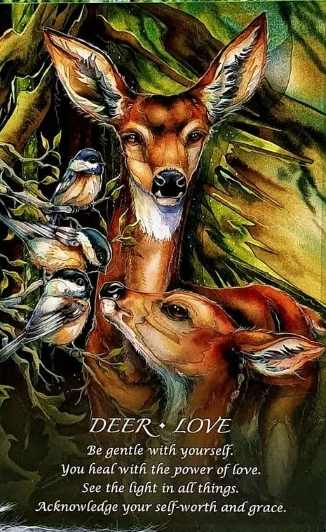 Колода: "Spirit of the Animals Oracle" Jody Bergsma  