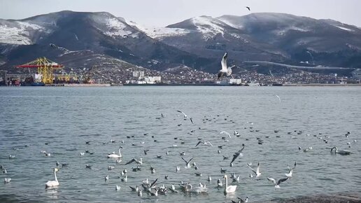 Море Новороссийска зимой . Медитация.