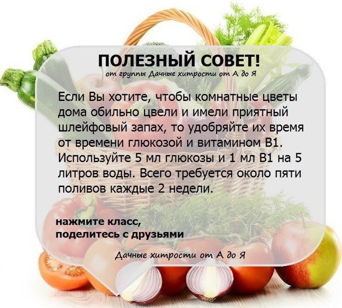 Как найти лучшую цену на статьи полезные советы и рекомендации | Эксперт  Слова | Дзен