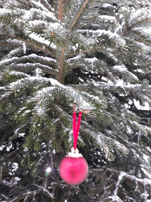 Рига, 14 января 2023