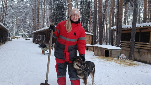 Переезд Сёмы. Новая волонтёр Ирина. Шумный и весёлый волонтёрский день в приюте