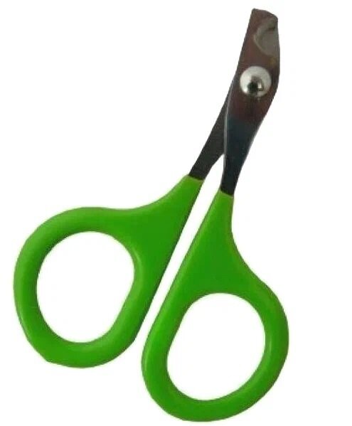 Papillon «Nailscissors small»