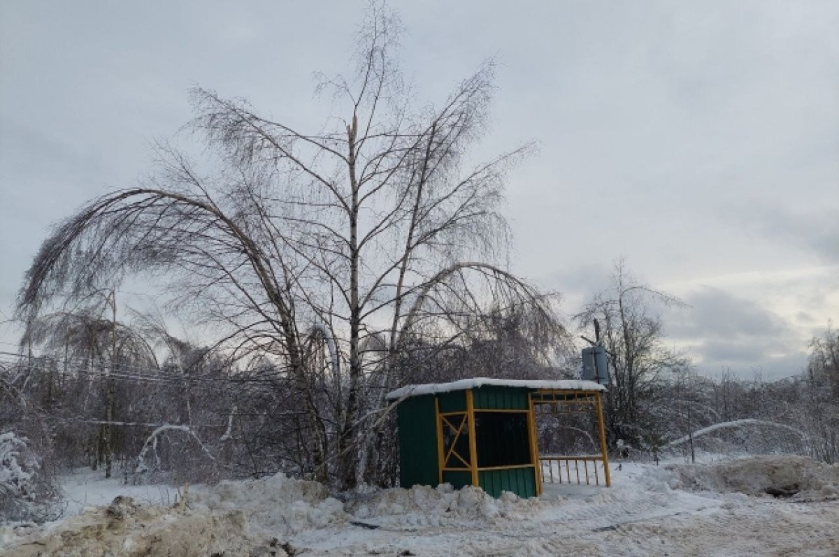 В булочную на такси. Нижегородцы жалуются на работу сельских автобусов |  АиФ – Нижний Новгород | Дзен