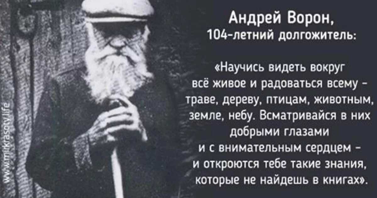 Картинка из интернета