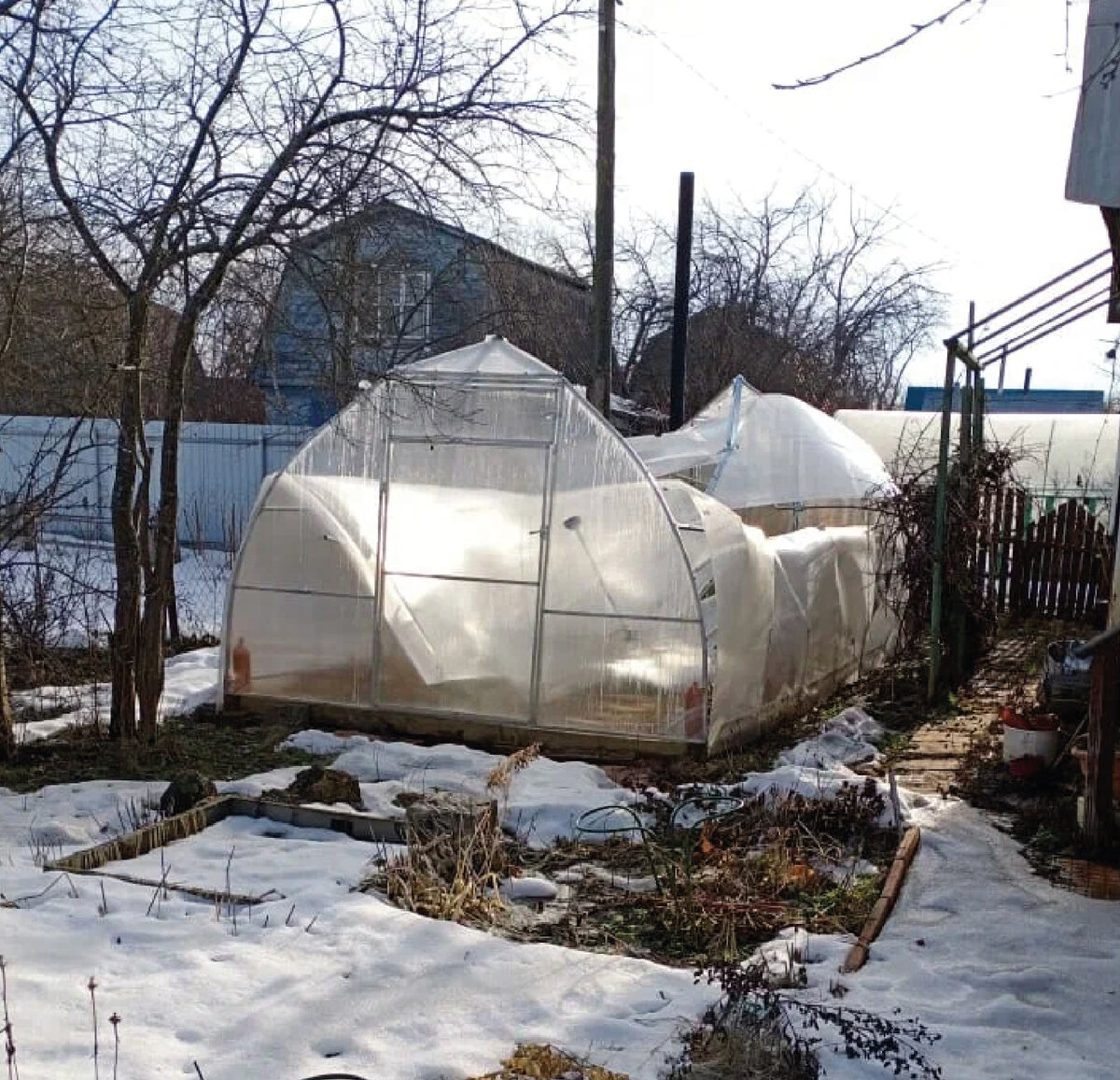 Теплица типа «Капелька» после зимы