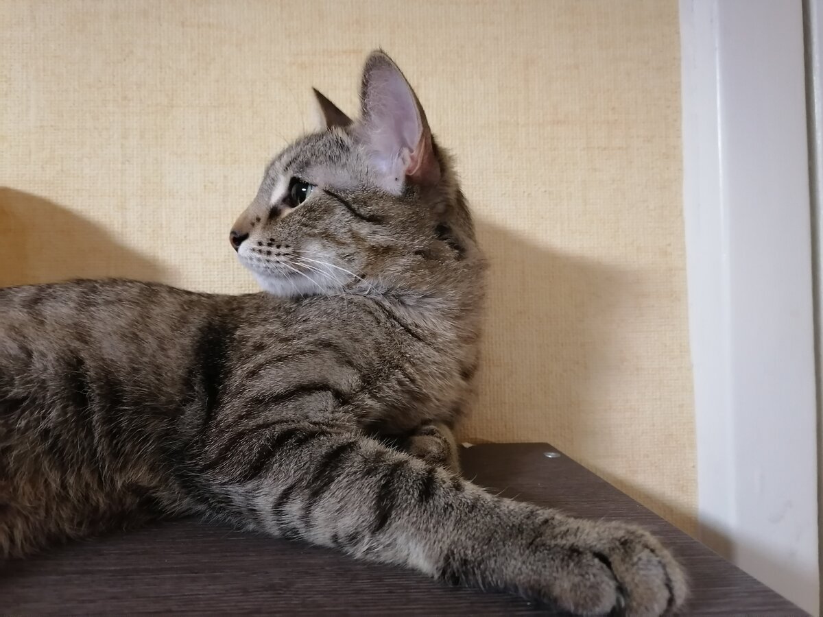 Фото автора