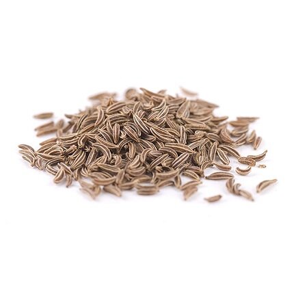 Изображение взято из открытого источника.