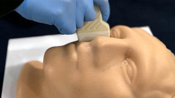    В Москве создали модель лица для обучения УЗИ-специалистов и дерматологов Ирина Петрова