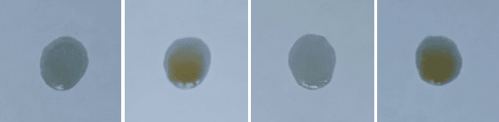    Масляные пятна на наклонной поверхности. Свежее масло, рабочее, перегретое свежее, перегретое рабочее / © Пресс-служба ПНИПУ