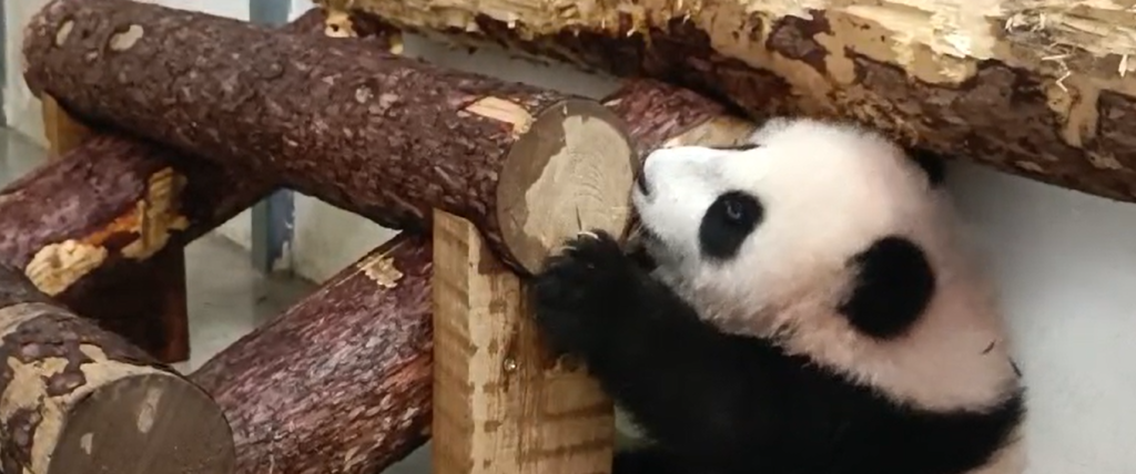 Важные дела Катюши Источник: vm.ru Автор фото: Светлана Акулова📷
