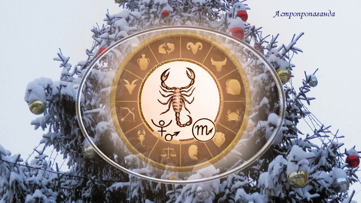 Коллаж Нины Стрелковой. 