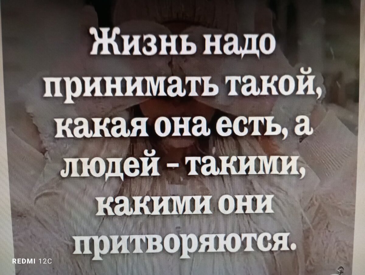 Принимай всё, как есть... | Павелл Тимм | Дзен