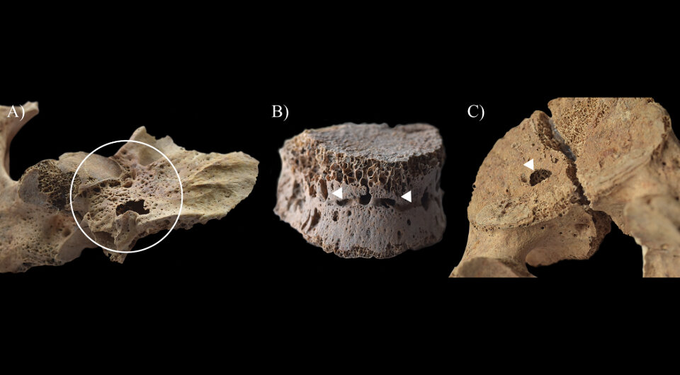   Olga Spekker et al. / PLoS ONE, 2024