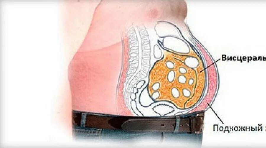 Открытые источники 