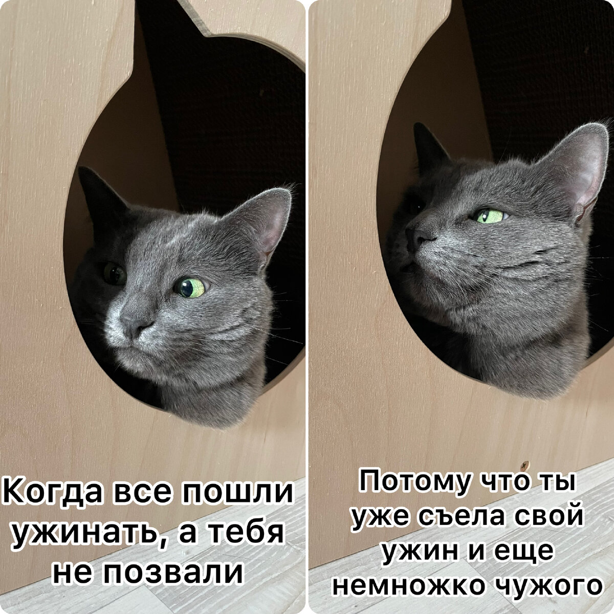 мыльные пузыри радость. эльвира хазагаева мэш. цветы разлуки. настроение что то плохое и души. страдающий человек.