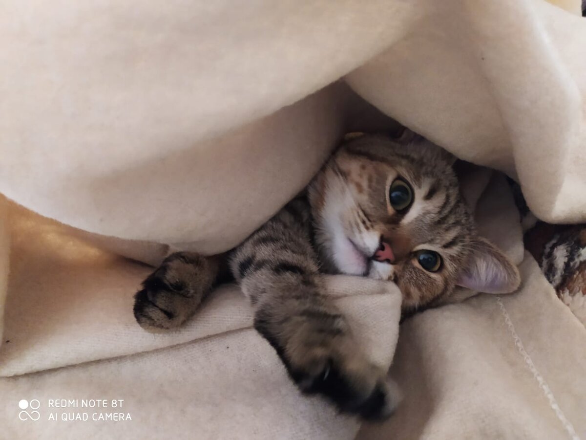 Сэм маленький