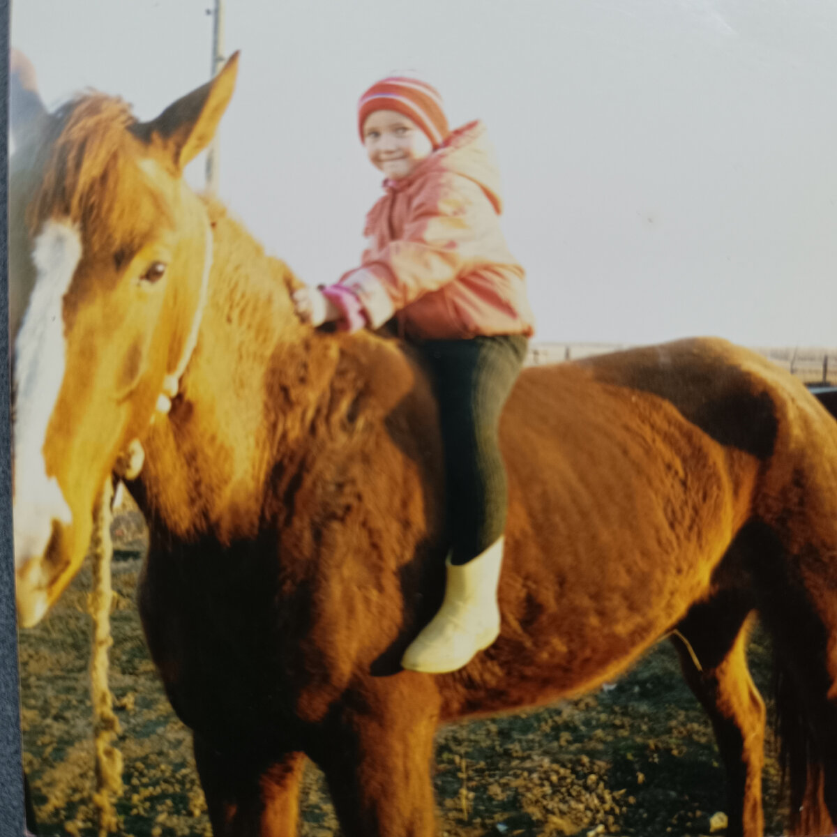 Верхом на Азе🐴, как давно это было ☹️ она меня даже кусала😅