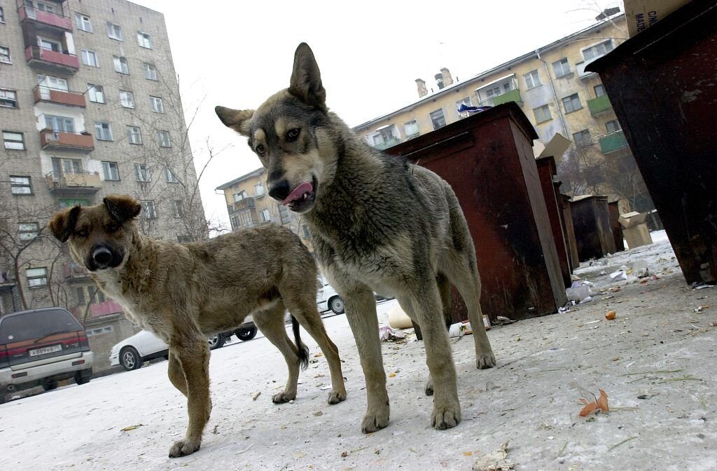    Фото: Евгений Епанчинцев