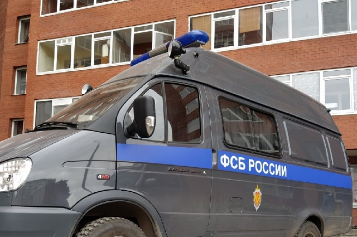    Ижевчанку подозревают в госизмене.