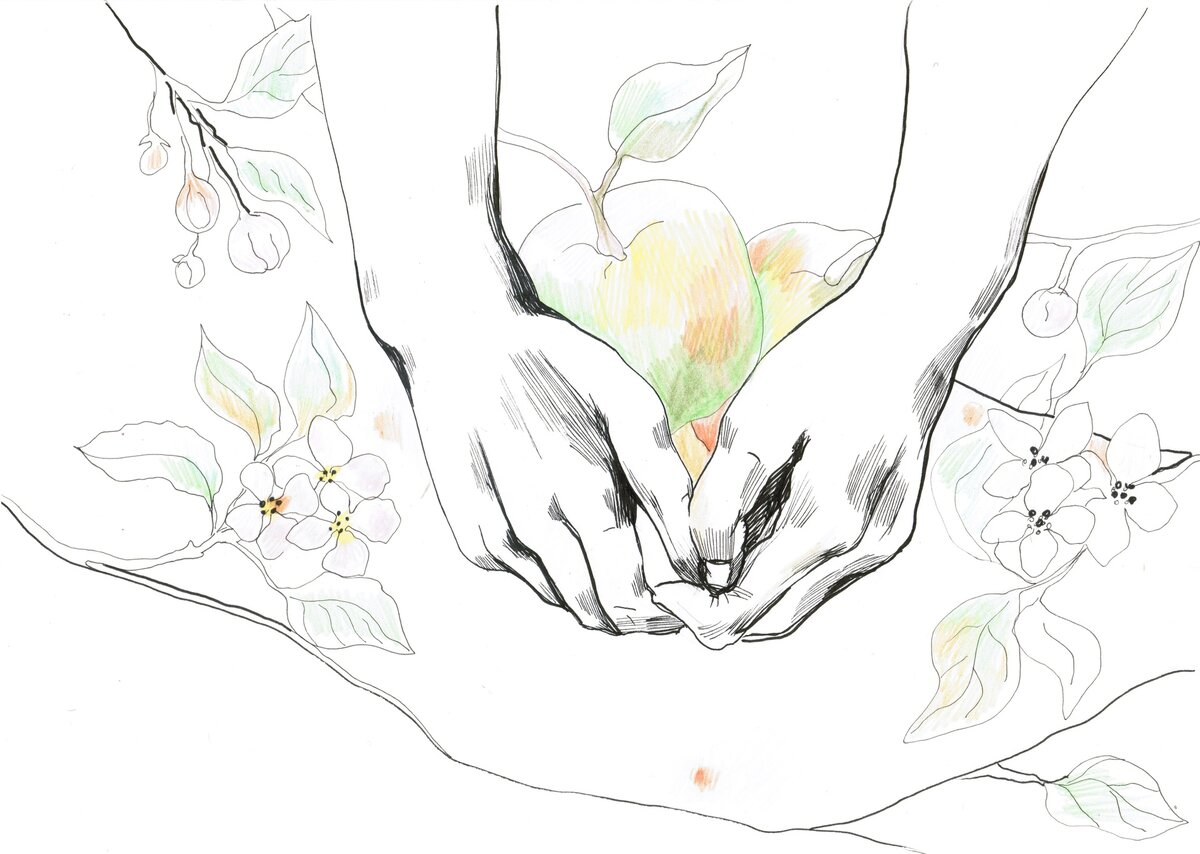 Это сад, который требует ухода, внимания и питания. Он стареет вместе с нами, но так же и цветет, и плодоносит, и дичает без нашего внимания. Иными словами, это и дар, и работа одновременно Здесь и далее иллюстрация: Дарья Неретина📷Это сад, который требует ухода, внимания и питания. Он стареет вместе с нами, но так же и цветет, и плодоносит, и дичает без нашего внимания. Иными словами, это и дар, и работа одновременноЗдесь и далее иллюстрация: Дарья Неретина