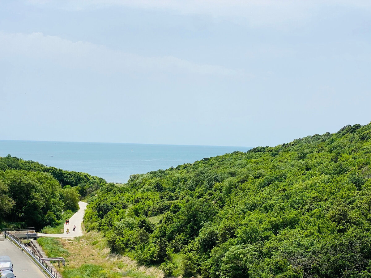 Вид с квартиры