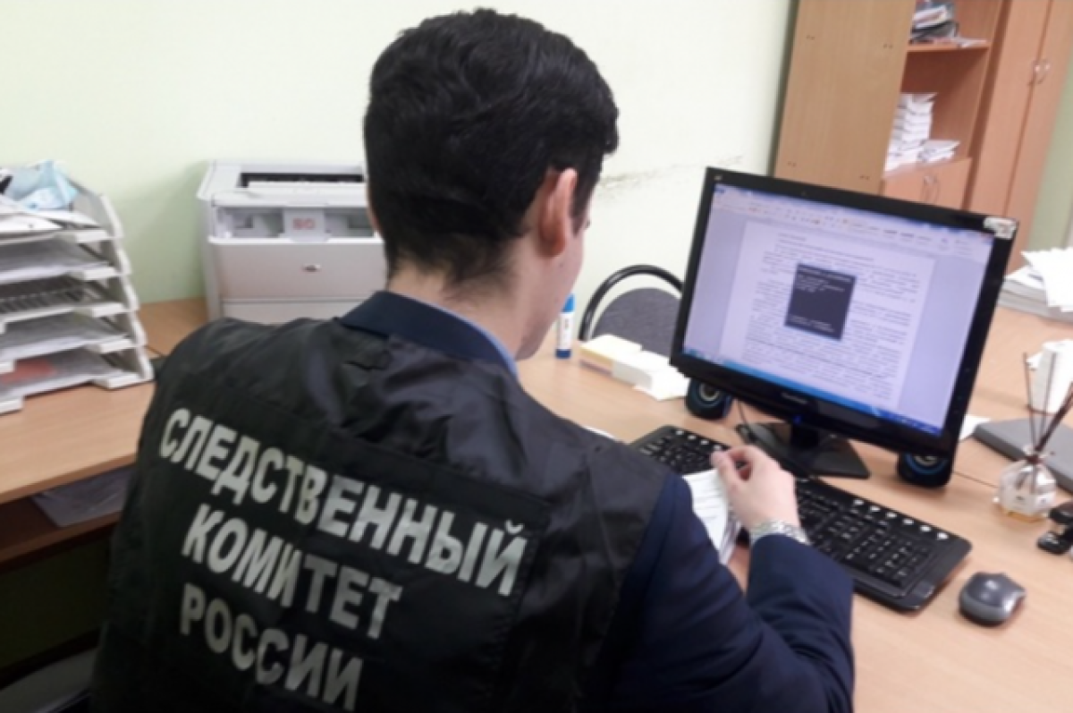    Бастрыкин требует проверить бившего детей в Ленобласти школьника-иностранца