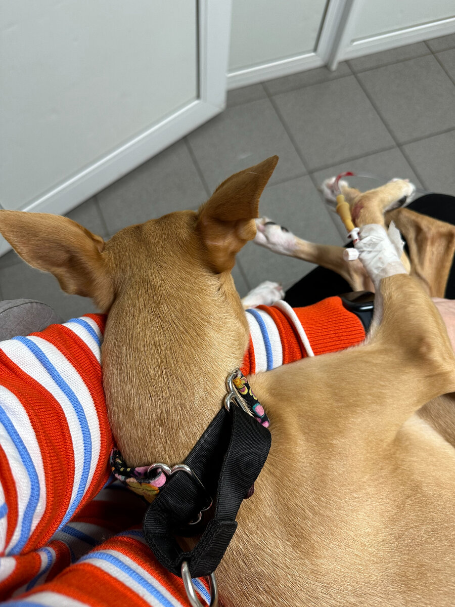 Два часа сидели и капались