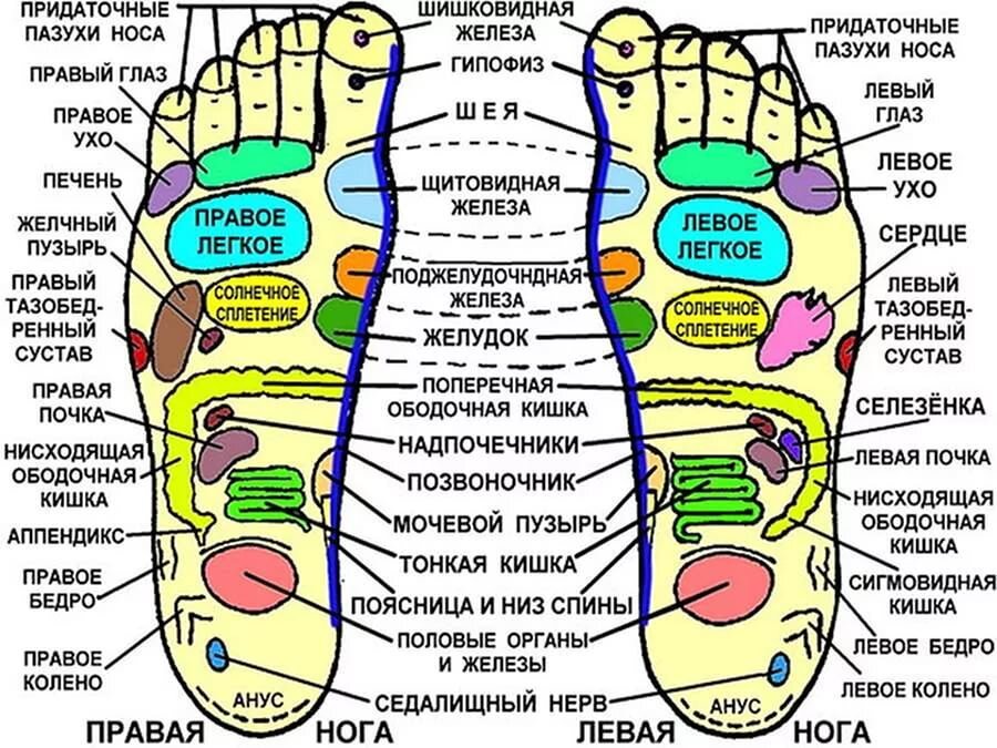  Восточная медицина уже больше 6 тысяч лет рассматривает ноги человека как средоточие точек, который отвечают за все жизненные системы организма. В том числе и за мозговую деятельность.-2