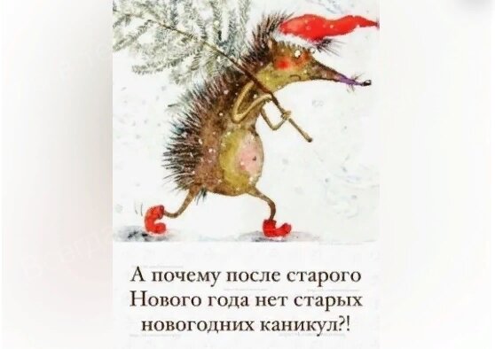 Позитивные открытки. Позитивные эмоции. Смешные позитивчики. Картинки с позитивом для поднятия настроения. Позитивный зверек.