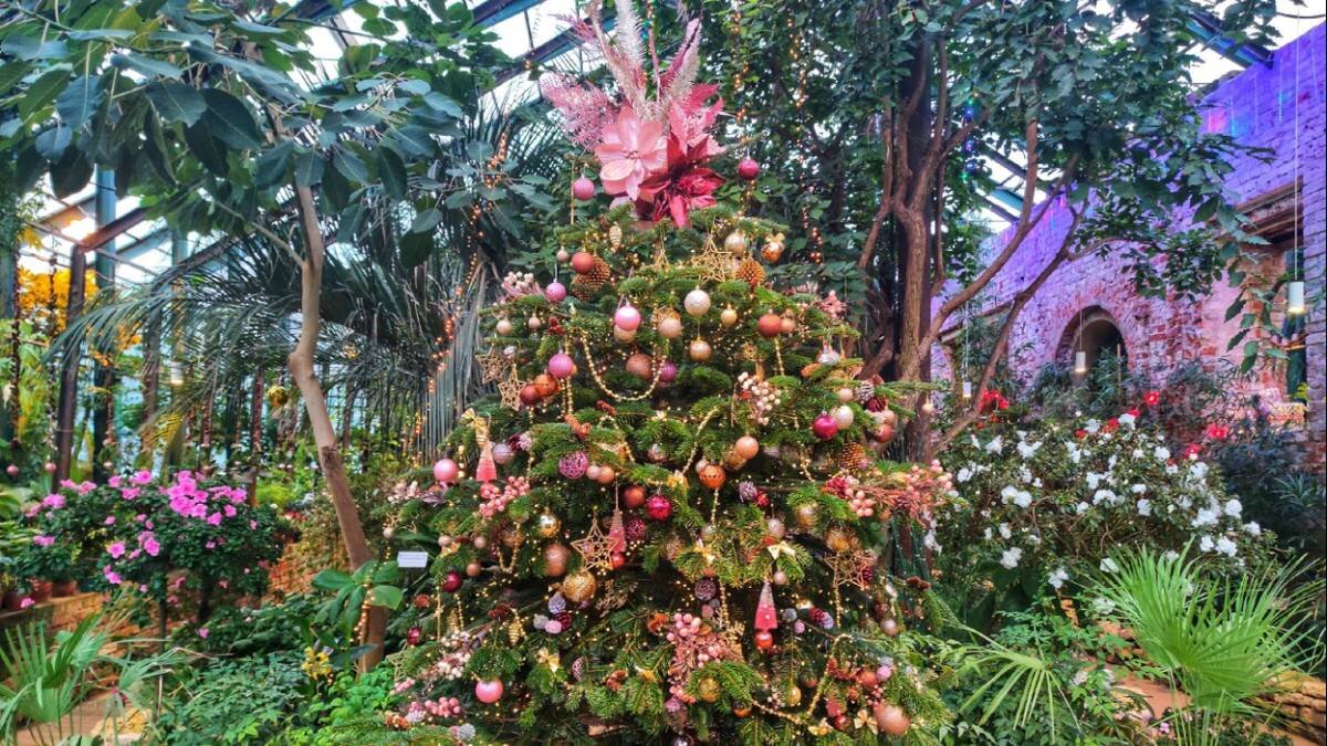    Фото: Ярослав Морозов / Ботанический сад МГУ «Аптекарский огород»