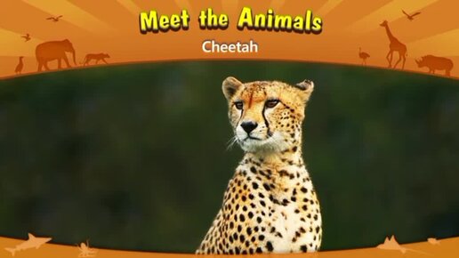 Мультфильм о животных Африки Чита