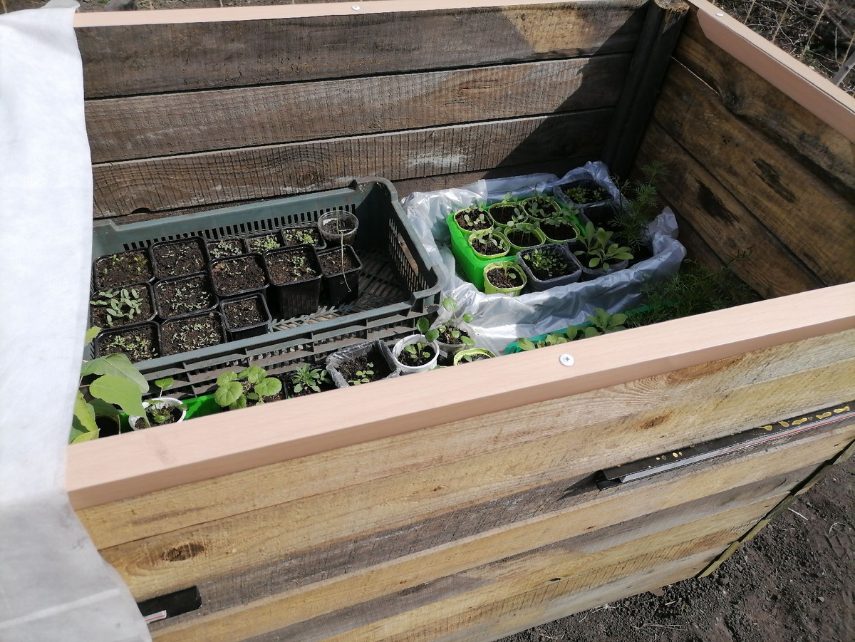 Вот с таким парником сравниваю, а не где мокрая тряпка на помидорах висит, как мне в комментариях написали :)