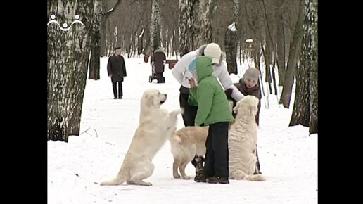 Родительский день. Дочки - доченьки. 3-я Часть