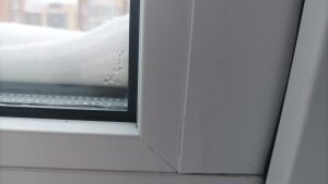    Фото: ОСН/Анна Полякова Анна Полякова