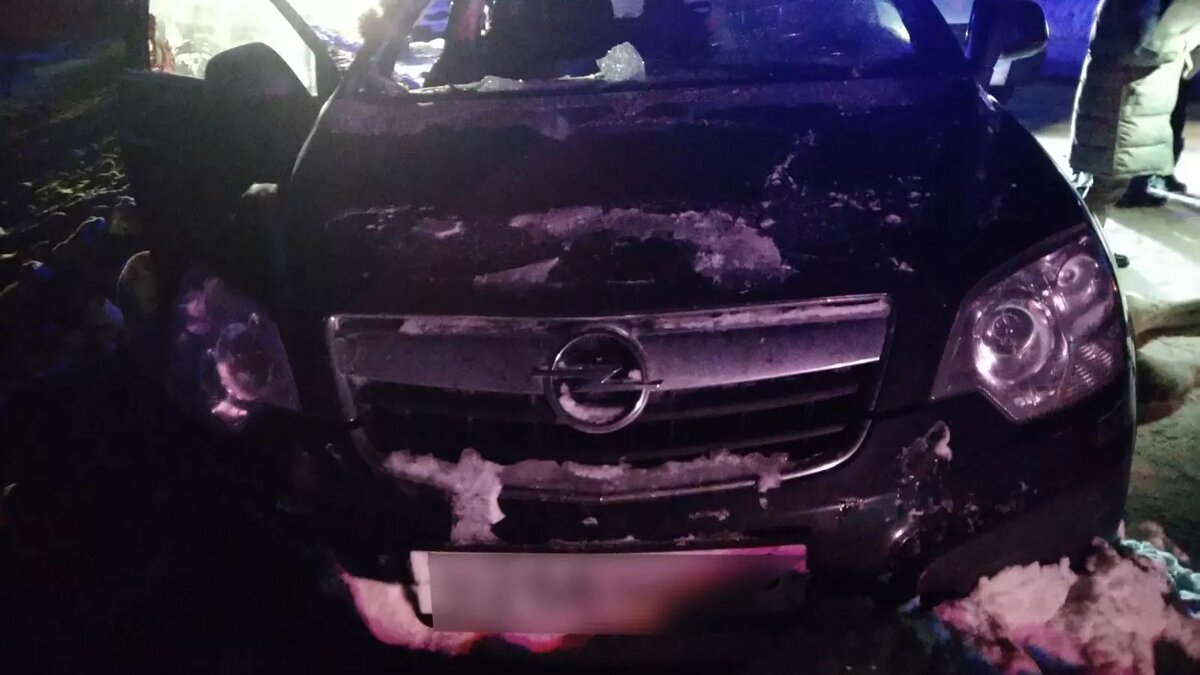     На участке дороги Ижевск — Сарапул в Завьяловском районе Удмуртии 14 января, около 18.10, произошло столкновение автомобилей и дикого животного — лося. Об этом сообщает пресс-служба УГИБДД МВД по Удмуртской Республике.