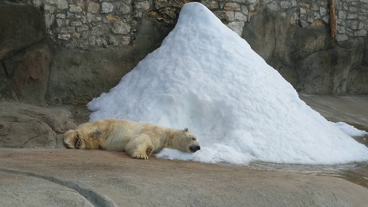 Лето в Москве. Фото: catalog-photo