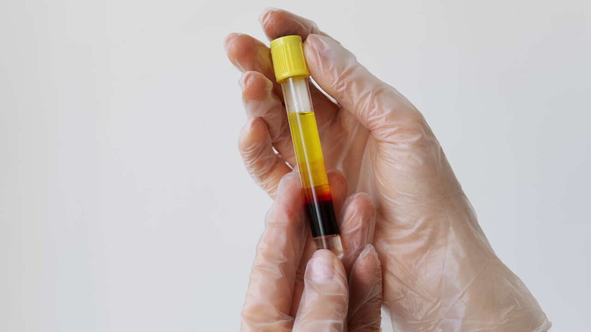 Изображение: Freepik