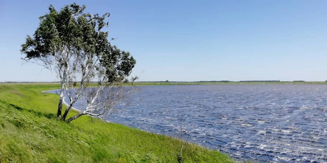 Наш отдых в Курганской области на озере Шамиля.