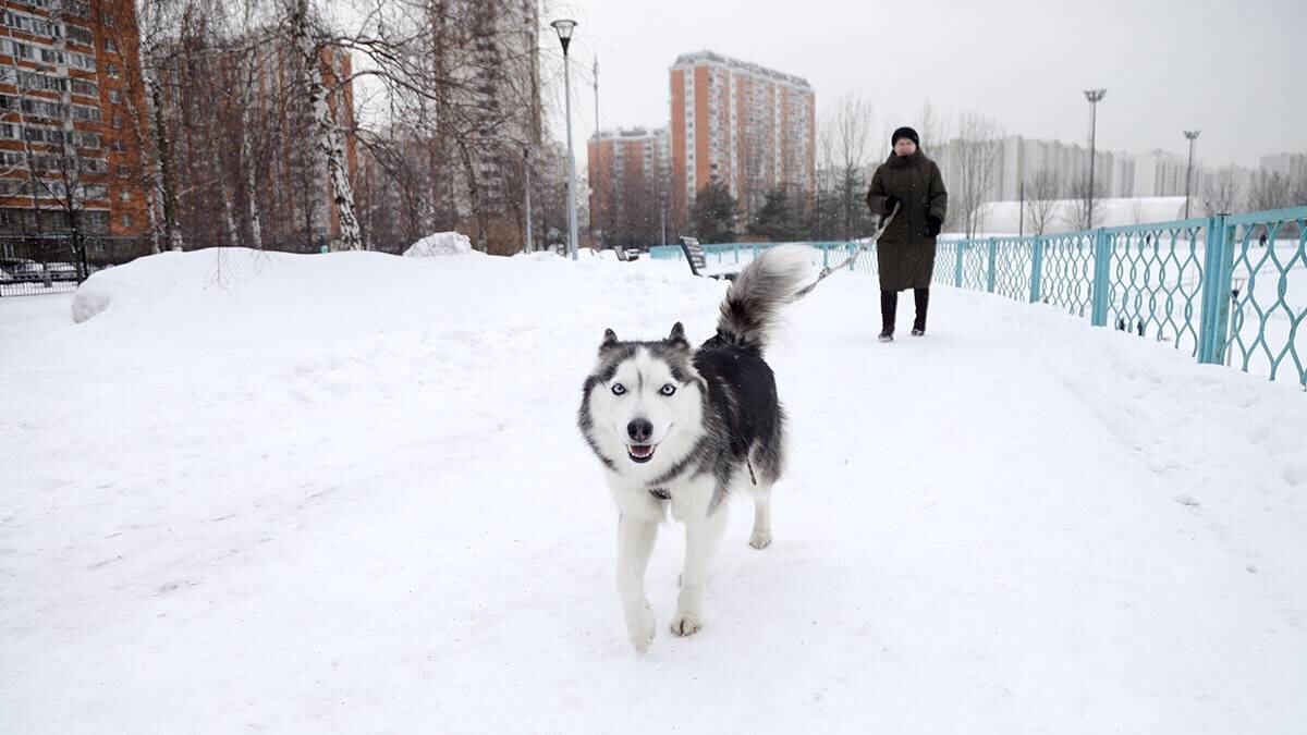   Фото: Артур Новосильцев / АГН Москва