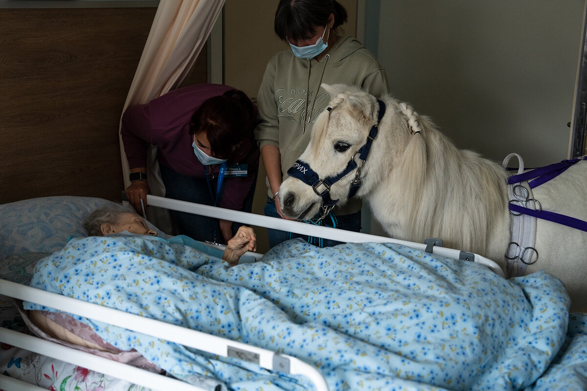 Фото: Ксения Малафеева