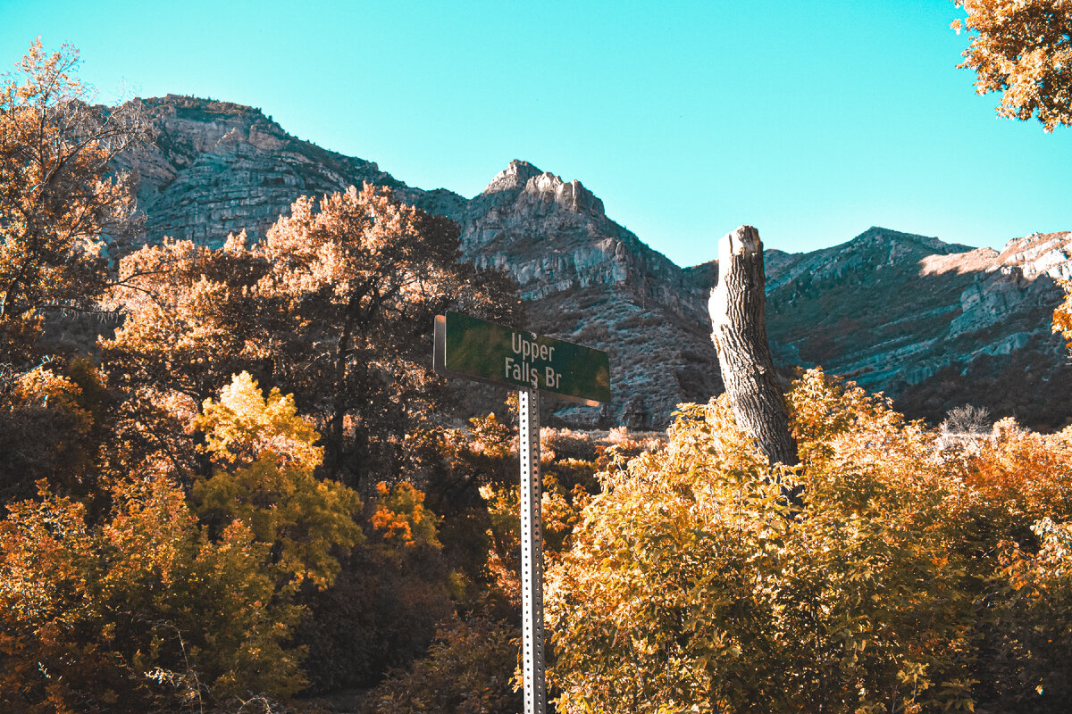 Картинка с бесплатного фотостока https://unsplash.com, автор Simon Ray