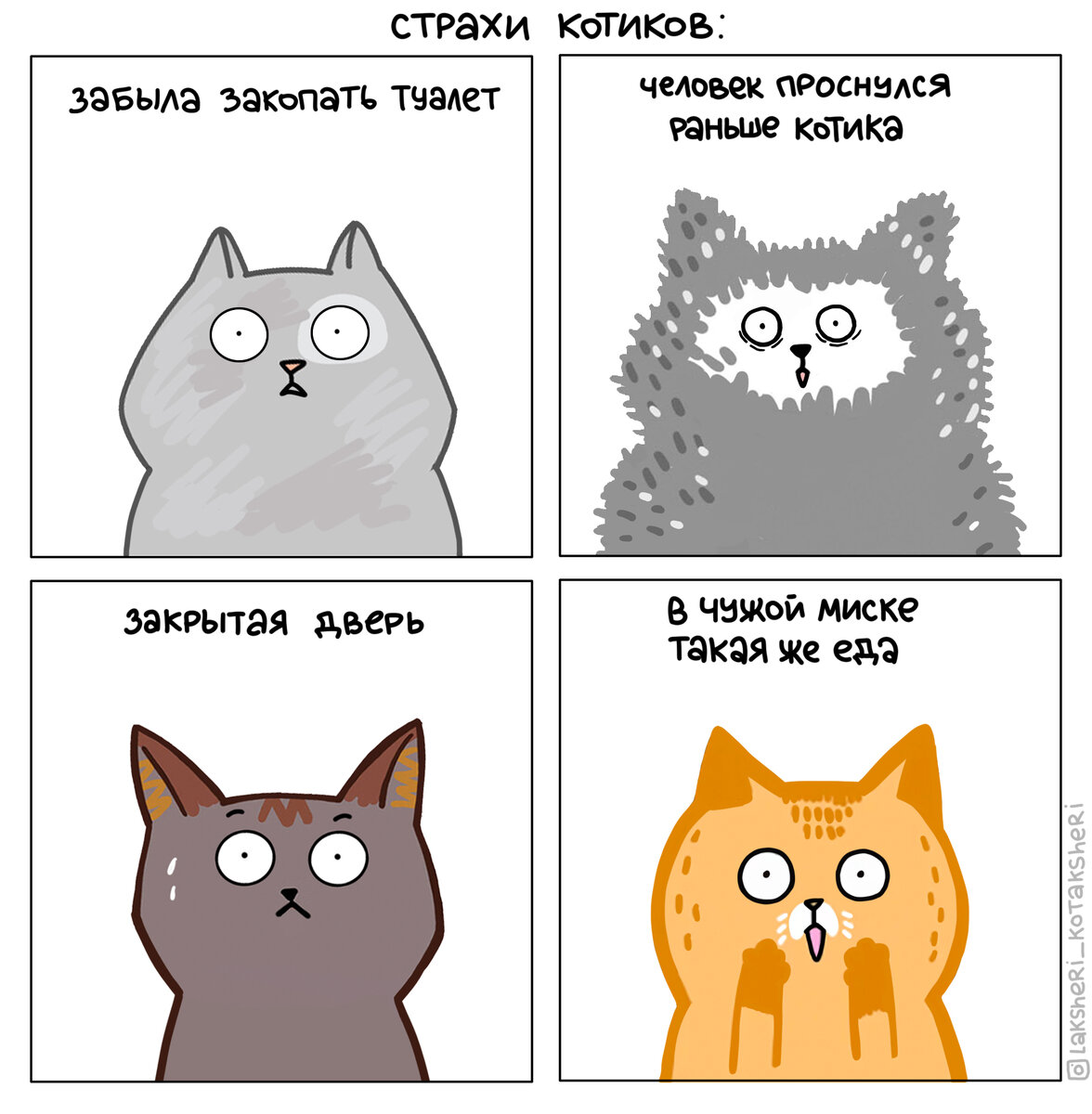 Можно ли кошки сделать