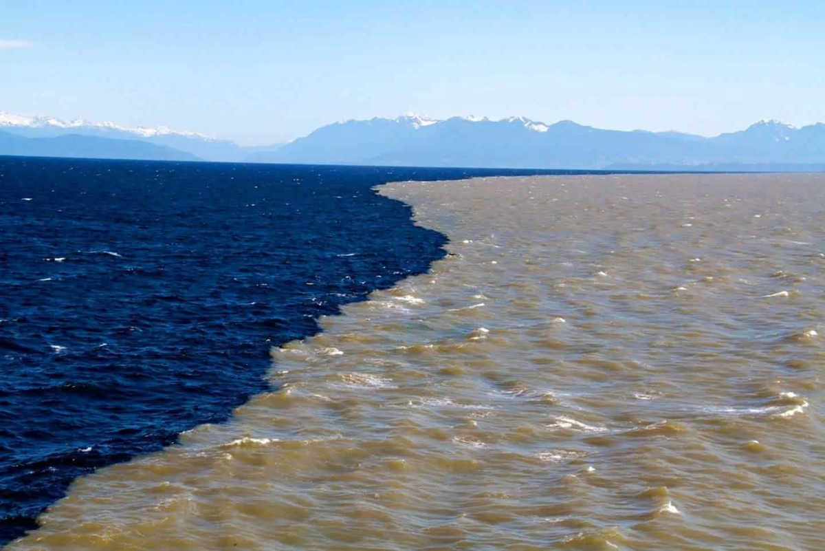 Почему воды атлантического. Галоклин Балтийское море. Эгейское море и Средиземное море. Галоклин Скаген. Слияние Эгейского и Средиземного морей.