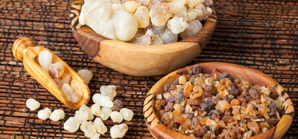 /originalbotanica.com