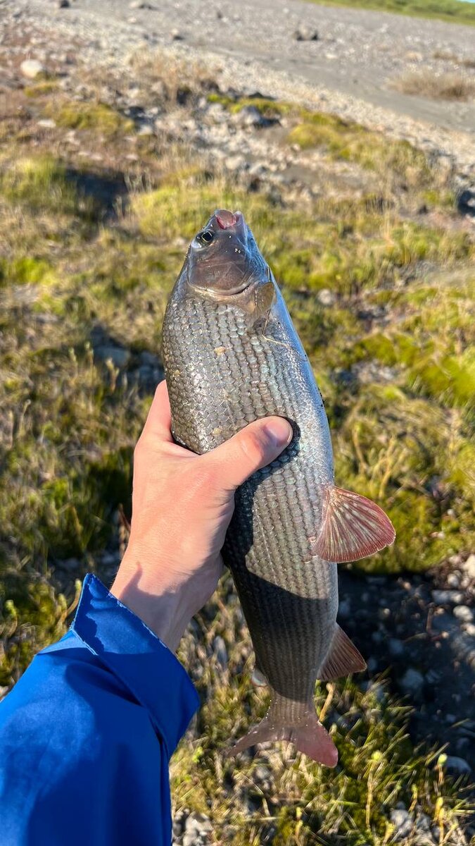 Рыбалка туризм спорт