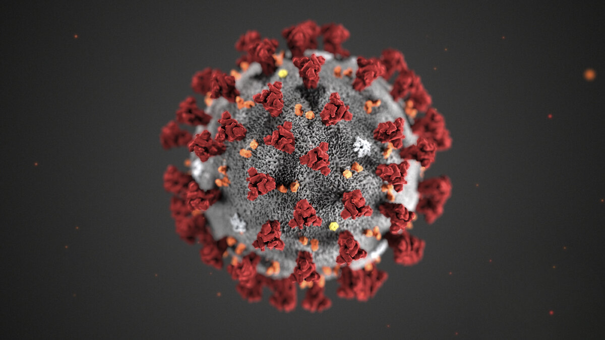 ФОТО: CDC/CDC/GLOBALLOOKPRESS