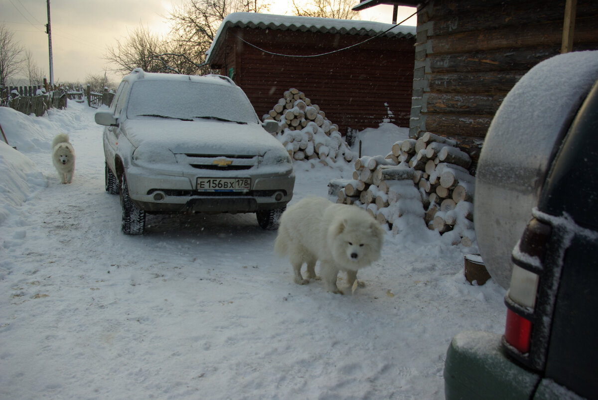 Уже сугробы намело...