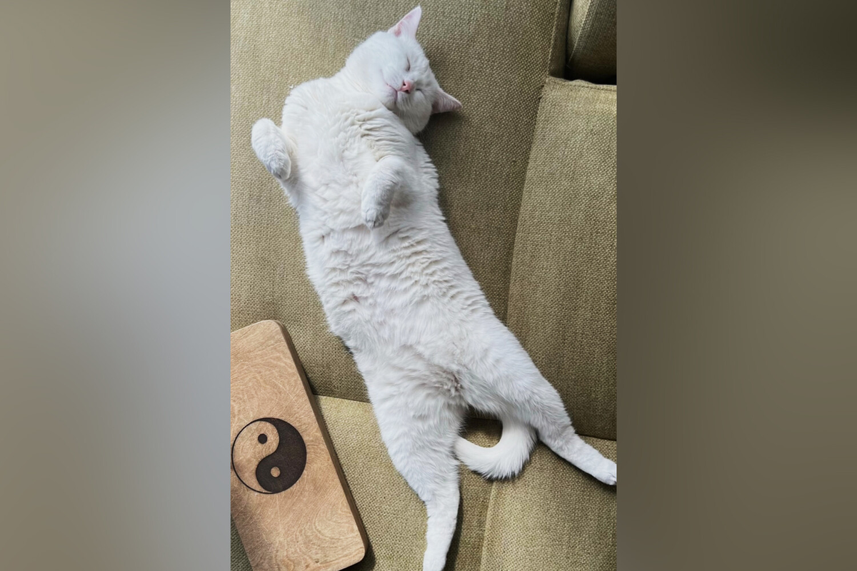 manvan.tara/Instagram (владелец компания Meta признана в России экстремистской и запрещена)