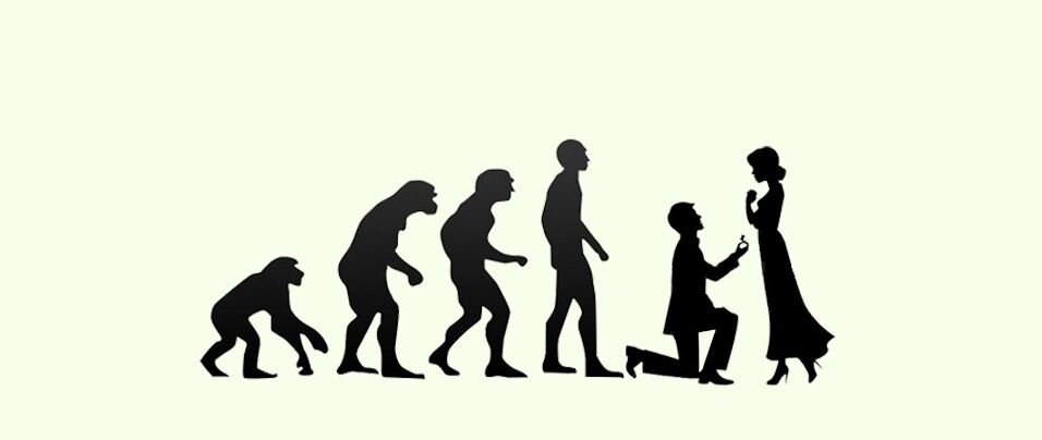 Evolution development. Evolution development