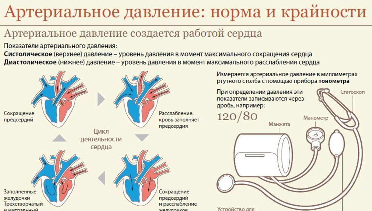 Врач-кардиолог Тюменского кардиоцентра - об опасности повышения диастолического давления